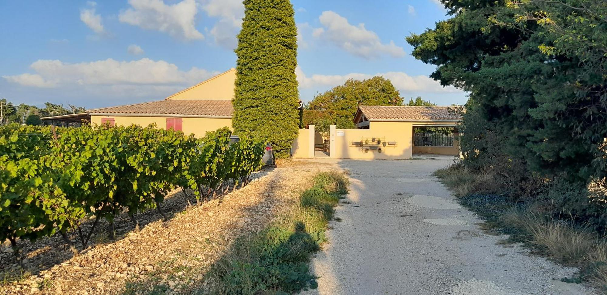 Mas La Gentille ,,, A La Campagne , Beautiful Outdoor , Swimming Pool , Pool House , Garden , Bbq ,,, Only For , Pour Passer Un Sejour Inoubliable Pernes-les-Fontaines